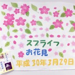 お花見に行ってきました♪
